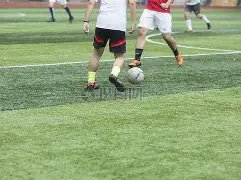 特朗普或许,已告别政治,舞台,球探足球比分网,体育官网,平台入口,足球比分,即时比分,比分直播